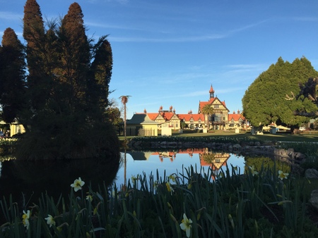 Beautiful flowers in Christchurch Botanic Gardenの写真素材