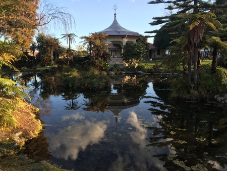 Beautiful flowers in Christchurch Botanic Gardenのeditorial素材