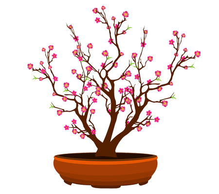 Cherry blossom for Chinese New Year and lunar new yearのイラスト素材