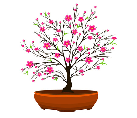 Cherry blossom for Chinese New Year and lunar new yearのイラスト素材