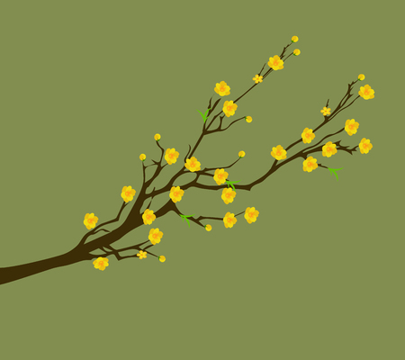 Yellow Apricot Flower, traditional lunar new year in Vietnamのイラスト素材