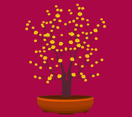 Yellow Apricot Flower, traditional lunar new year in Vietnamのイラスト素材