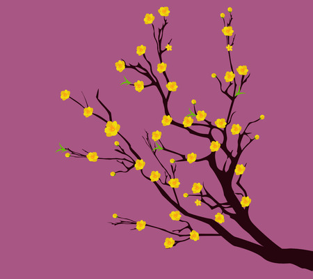 Yellow Apricot Flower, traditional lunar new year in Vietnamのイラスト素材