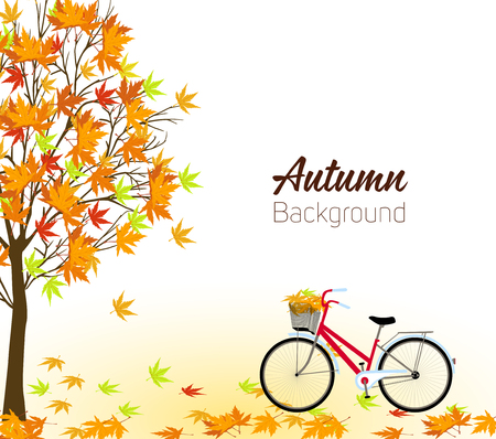 Autumn background with a tree and a bicycle. Vectorのイラスト素材