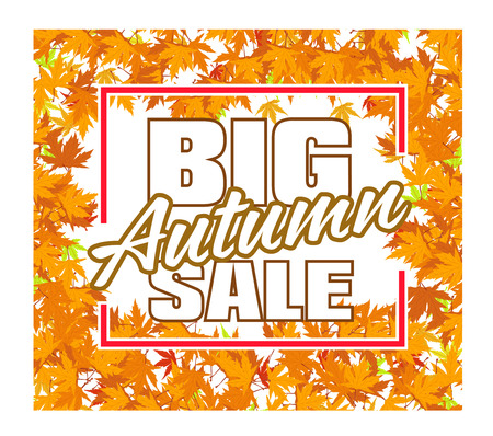 Vector Autumn background Design with maple leafのイラスト素材