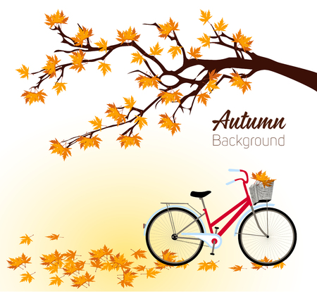 Autumn background with a tree and a bicycle. Vectorのイラスト素材