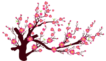 Vector Cherry blossom for Chinese New Year and lunar new yearのイラスト素材