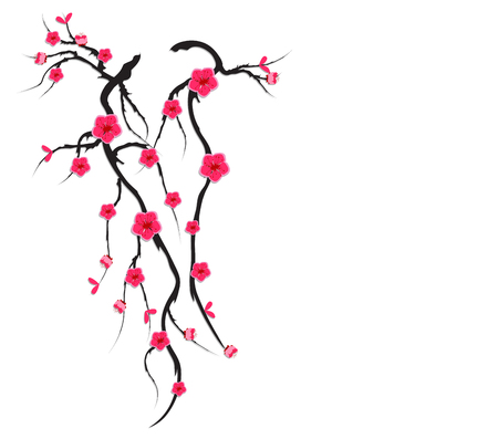 Vector Cherry blossom for Chinese New Year and mid autumn festivalのイラスト素材