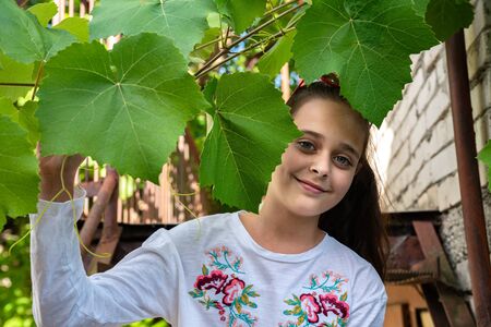 Cute little girl in white t-shirt peeking out of vine branches, outdoor photoの写真素材