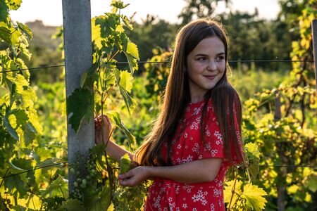 Happy ginger teen girl with freckles in red dress in the vineyard, people and garden conceptの写真素材