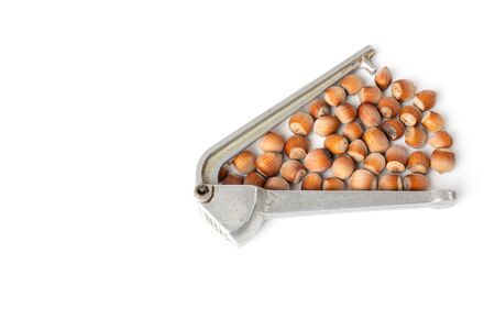 Hazelnuts with garlic clover isolated on the white background, top view with copyspaceの写真素材