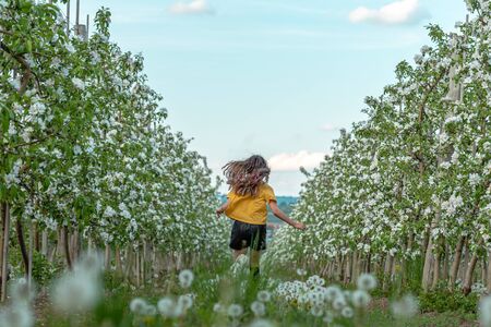Spring portrait, adorable little girl with loose hair walk in blossom tree gardenの写真素材