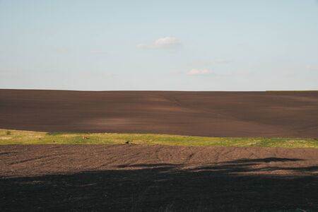 Agricultural rural background. Panoramic view to spring landscape with a field of black soilの写真素材