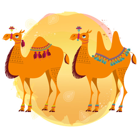 Two camels with traditional decoration. Vector illustration.のイラスト素材