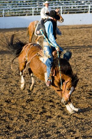 Rodeo seriesの写真素材