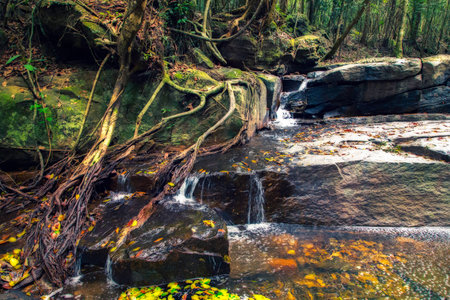 Suoi Tranh Waterfall Phu Quoc Island, Viet Namの写真素材