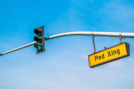 traffic light pedxingの写真素材
