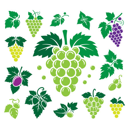 Grapes Silhouette Vector Illustration on White Background. Grapes Silhouette Vector Illustration on White Background.のイラスト素材