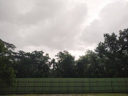 green view skyの写真素材