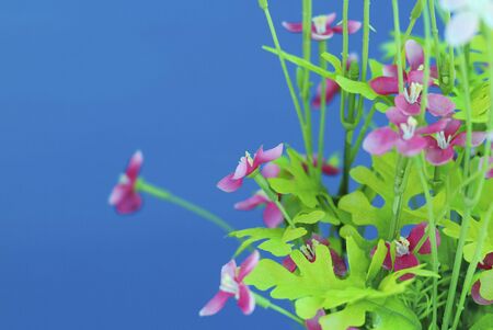 Fake Flowerの写真素材