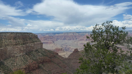 Grand Canyon Arizona sunny dayの写真素材