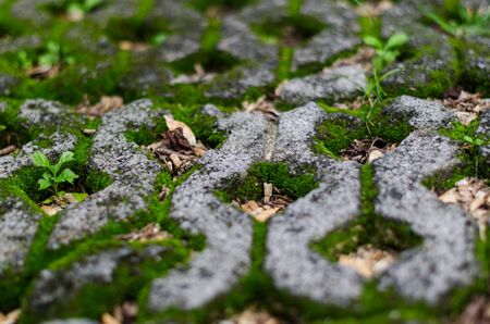 Brick road