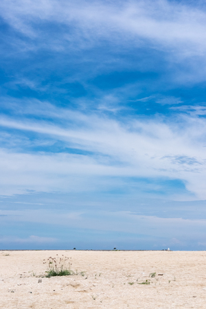 sky and beachの写真素材