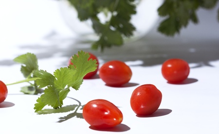 Cherry tomatoes and cilantro on white backgroundの写真素材