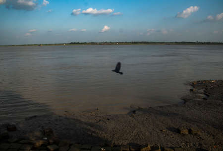 Some cloud,
a river and a bird.の写真素材