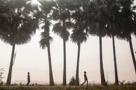 Rural lifestyle in Bangladesh at Rajshahi.の写真素材