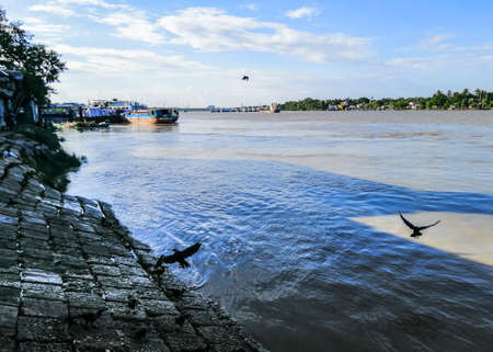 Some birds are playing besides on river.の写真素材