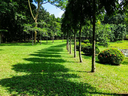 Some wonderful light and shadow in a field.の写真素材