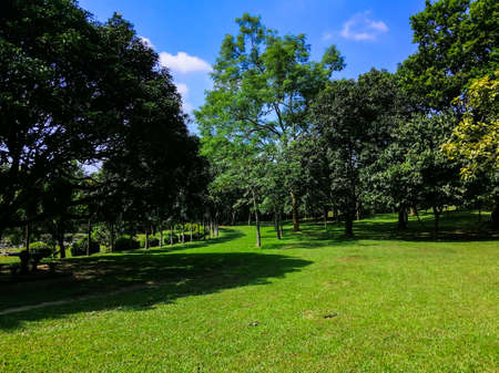 Some wonderful light and shadow in a field.の写真素材
