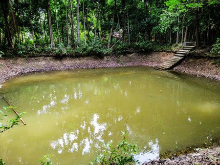 The calm, beautiful natural environment of rural Bengal.の写真素材