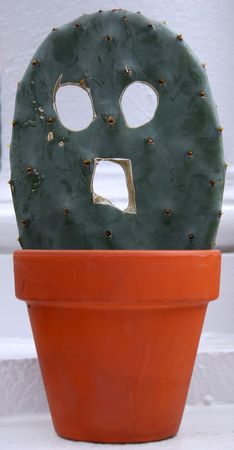 Picture of a cactus that has been carvedの写真素材
