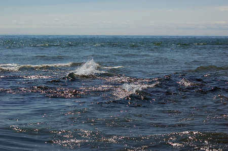 Picture from the southernost part of Canada (Point Pelee)の写真素材