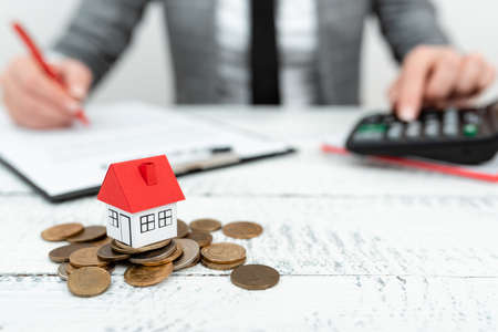 Lady Presenting New Home Savings Deals In Outfit, Business Woman Showing Possible Investment...