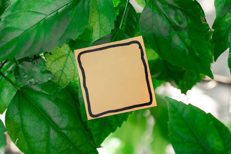 Thinking New Bright Ideas, Renewing Creativity Inspiration, Fresh Opportunity, Work Space Designs, Working Environment, Brainstorm Plans, Office Collections Pen Paperの写真素材