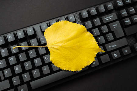 Online Browsing Exploring, Creating Blog Content, Sending New Messages, Typing Ideas, Writing Important Idea, Computerized Office Setup, Data Entry Jobs, Web Research Studyの写真素材