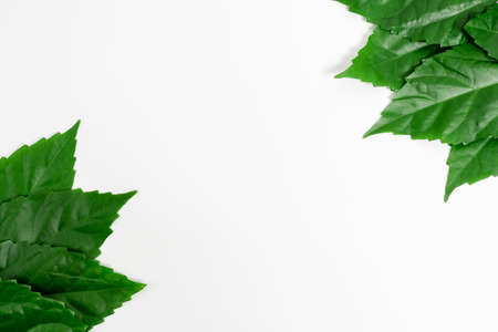 Nature Conservation Ideas, Writing Environment Preservation Plans, Organic Materials, Gardening Designs Planning, Conserving Protecting Natural Resources, Spring Time Ideaの写真素材