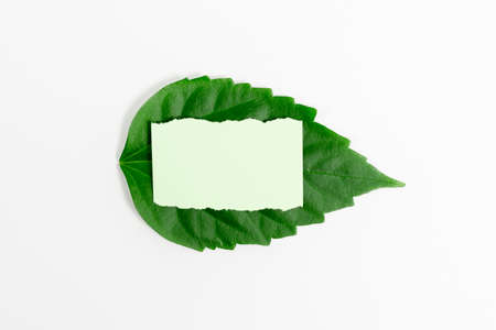 Saving Environment Ideas Plans, Creating Sustainable Products, Organic Materials, Gardening Designs Planning, Conserving Protecting Natural Resources, Spring Time Ideaの写真素材