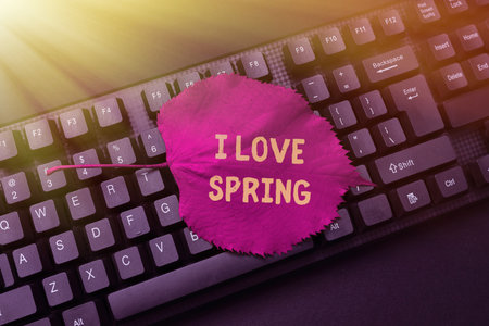 Sign displaying I Love Spring. Word Written on telling why having a strong affection to this season...