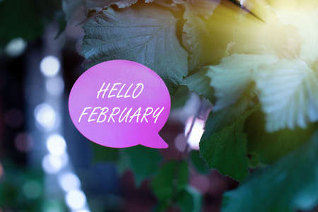 Conceptual caption Hello February. Word for greeting used when welcoming the second month of the year Thinking New Bright Ideas Renewing Creativity And Inspirationの写真素材
