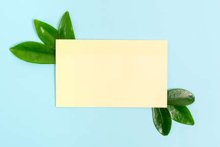 Nature Theme Presentation Ideas And Designs, Displaying Renewable Materialsの写真素材