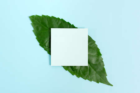 Creating Nature Theme Blog Content, Preventing Environmental Loss, Displaying Renewable Materials, Creating Renewable Products, Organic Materials, Gardening Design Planningの写真素材