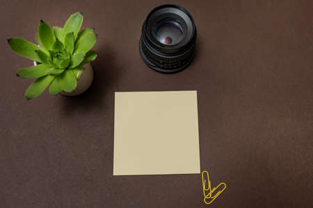 Multiple Assorted Collection Office Stationery Photo With Pens Pencils Notepads Notebook Ruler Stapler Scissors Clippers Paper Clips Holders Clipboard Placed Over Tableの写真素材