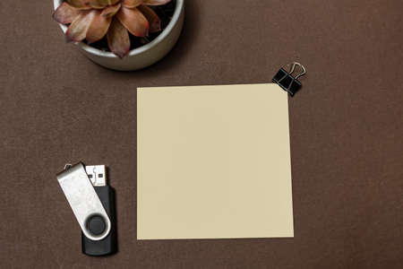 Multiple Assorted Collection Office Stationery Photo With Pens Pencils Notepads Notebook Ruler Stapler Scissors Clippers Paper Clips Holders Clipboard Placed Over Tableの写真素材