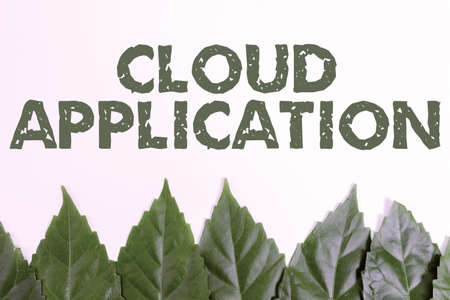 Writing displaying text Cloud Application. Business concept the software program where cloud...