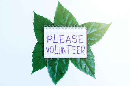 Inspiration showing sign Please Volunteer. Conceptual photo act of politely asking to enlist or sign...