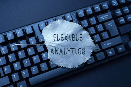 Text sign showing Flexible Analytics. Business overview changing marketplace focused on valuebased...